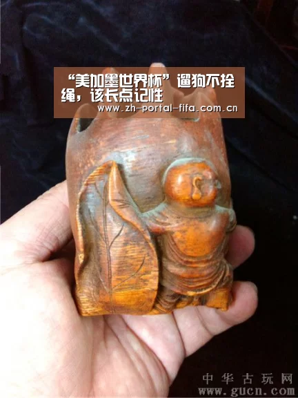 “美加墨世界杯”遛狗不拴绳,该长点记性(图2) 实时比分