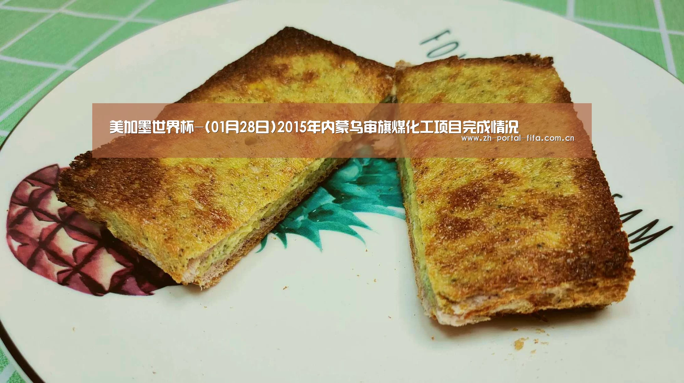 美加墨世界杯-(01月28日)2015年内蒙乌审旗煤化工项目完成情况(图4) 国际足联世界杯