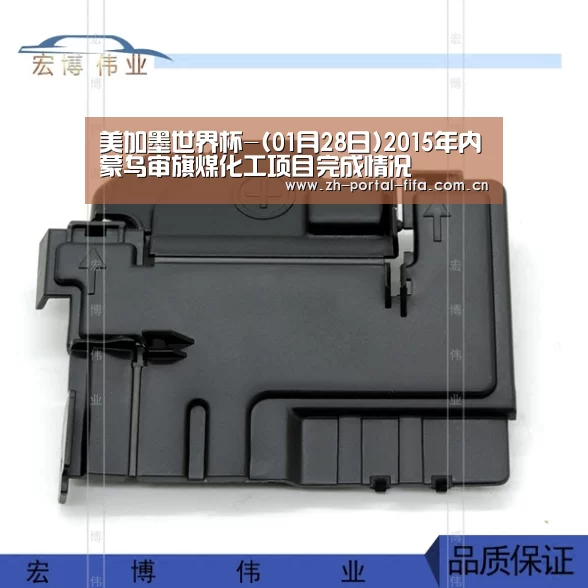 美加墨世界杯-(01月28日)2015年内蒙乌审旗煤化工项目完成情况(图3) 国际足联世界杯