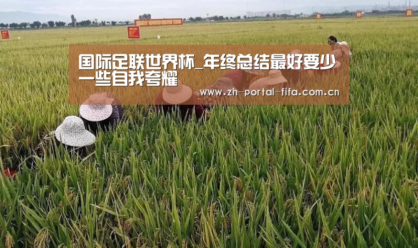 国际足联世界杯_年终总结最好要少一些自我夸耀(图2) 赛事新闻