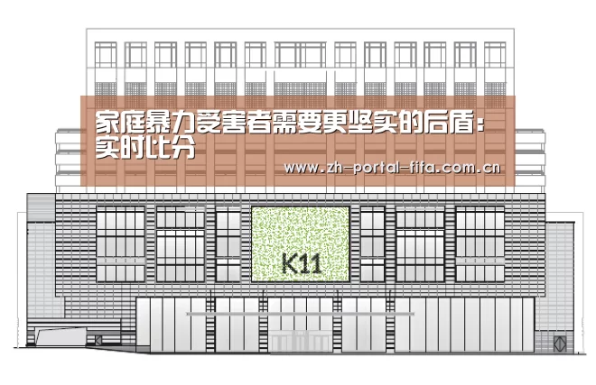 家庭暴力受害者需要更坚实的后盾:实时比分(图1) 赛事新闻