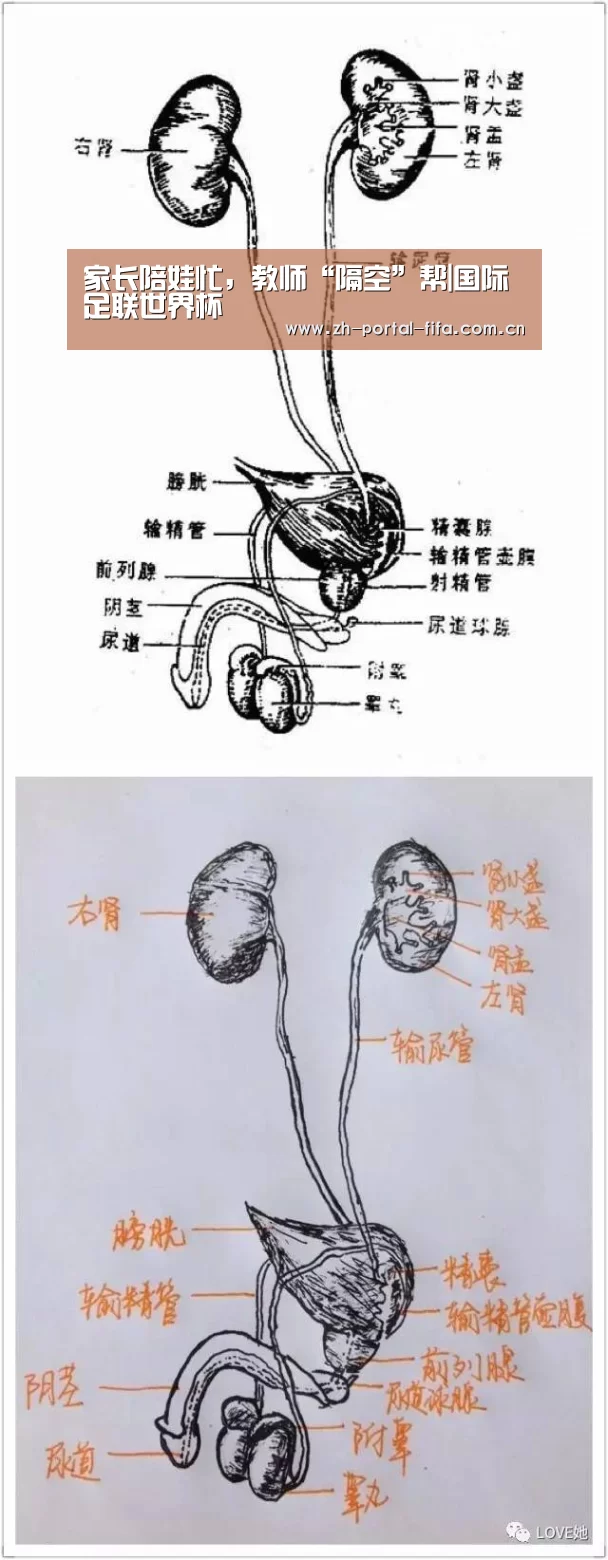 赛事新闻