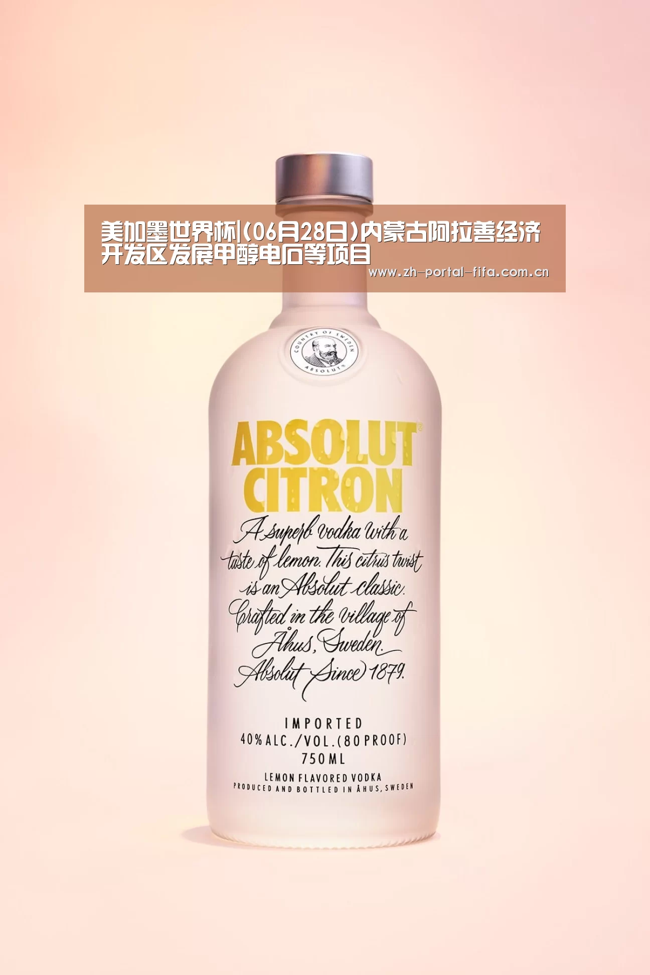 国际足联世界杯