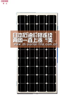 国际足联世界杯