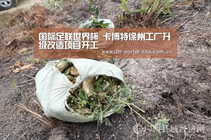 美加墨世界杯