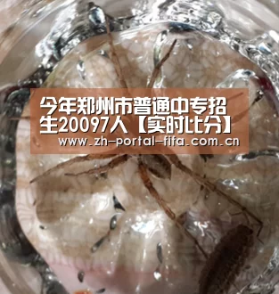 今年郑州市普通中专招生20097人【实时比分】(图1) 赛事新闻