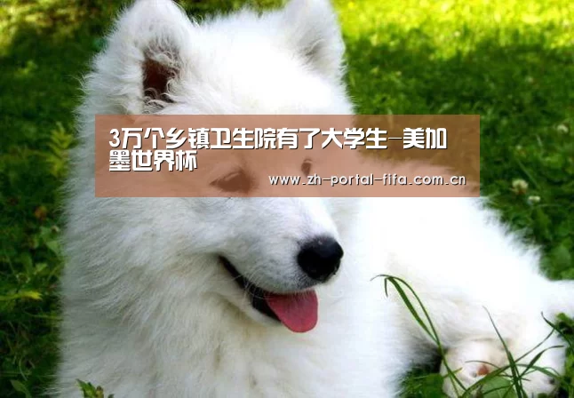 3万个乡镇卫生院有了大学生-美加墨世界杯(图3) 实时比分