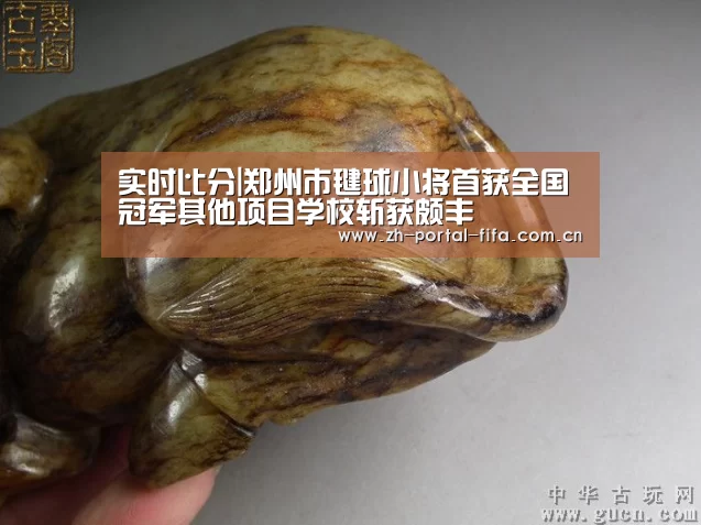 实时比分|郑州市毽球小将首获全国冠军其他项目学校斩获颇丰