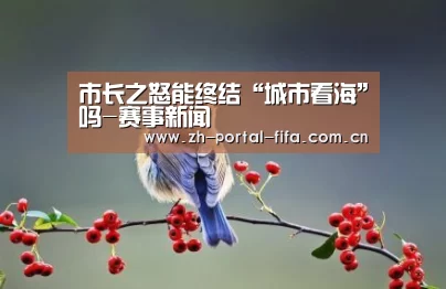 市长之怒能终结“城市看海”吗-赛事新闻(图3) 美加墨世界杯